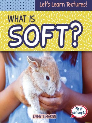 cover image of What Is Soft?